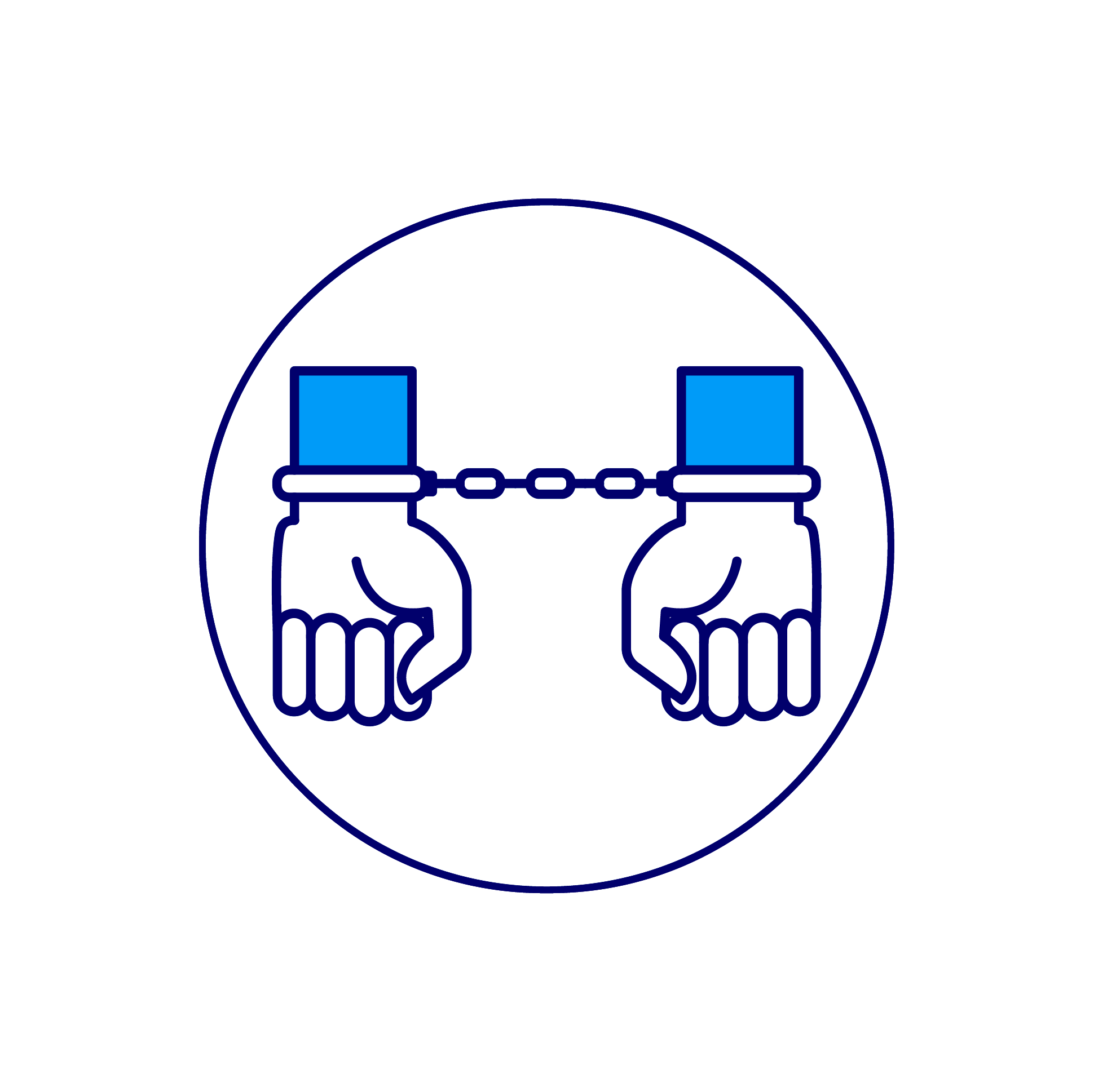 Criminal Defense Lawyer